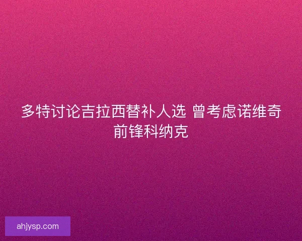 多特讨论吉拉西替补人选 曾考虑诺维奇前锋科纳克