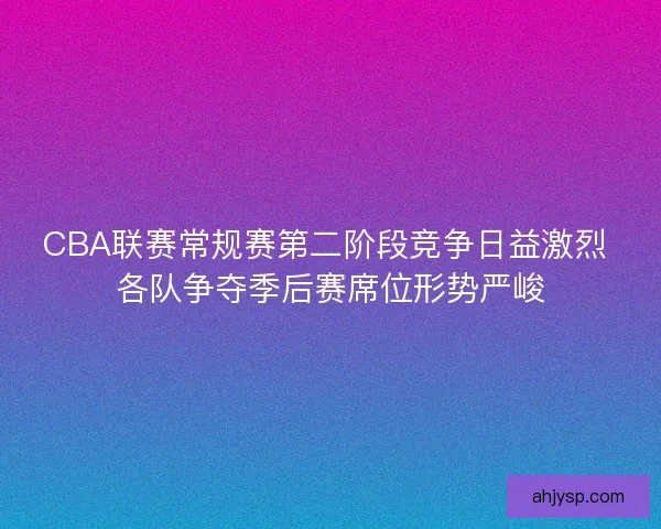 CBA联赛常规赛第二阶段竞争日益激烈 各队争夺季后赛席位形势严峻